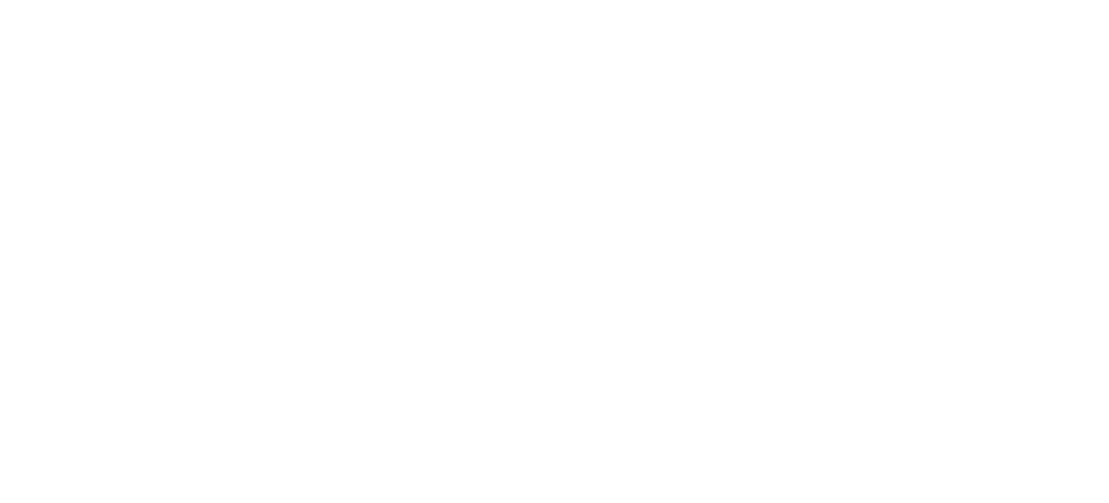 Logo NaviGate